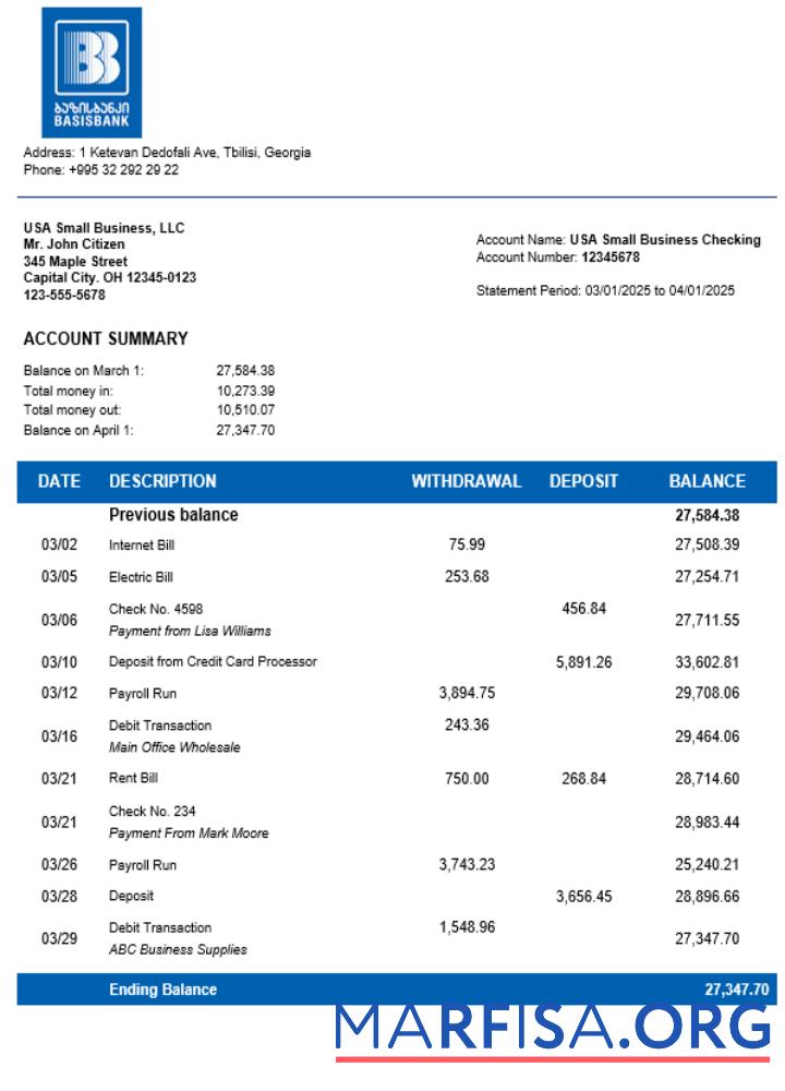 Downloadable Basis Bank company statement Word and PDF format real example